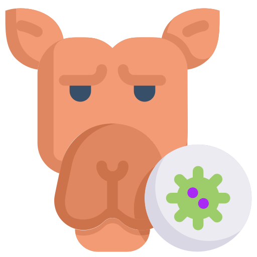Camel virus, disease, epidemic, infection, mers, transmission, virus icon